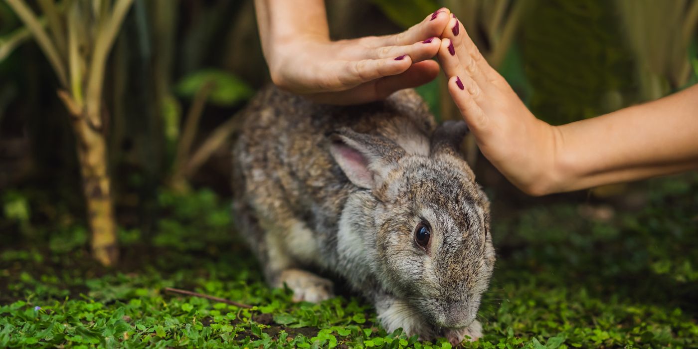 5 reasons to pick vegan & cruelty-free makeup