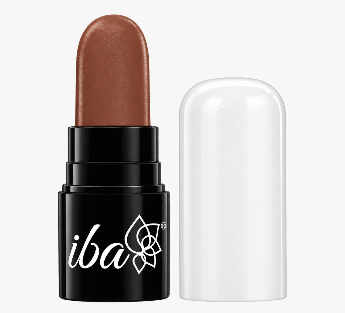 Iba Pure Lips Long Stay Matte Lipstick Shade M15 Cinnamon Cha