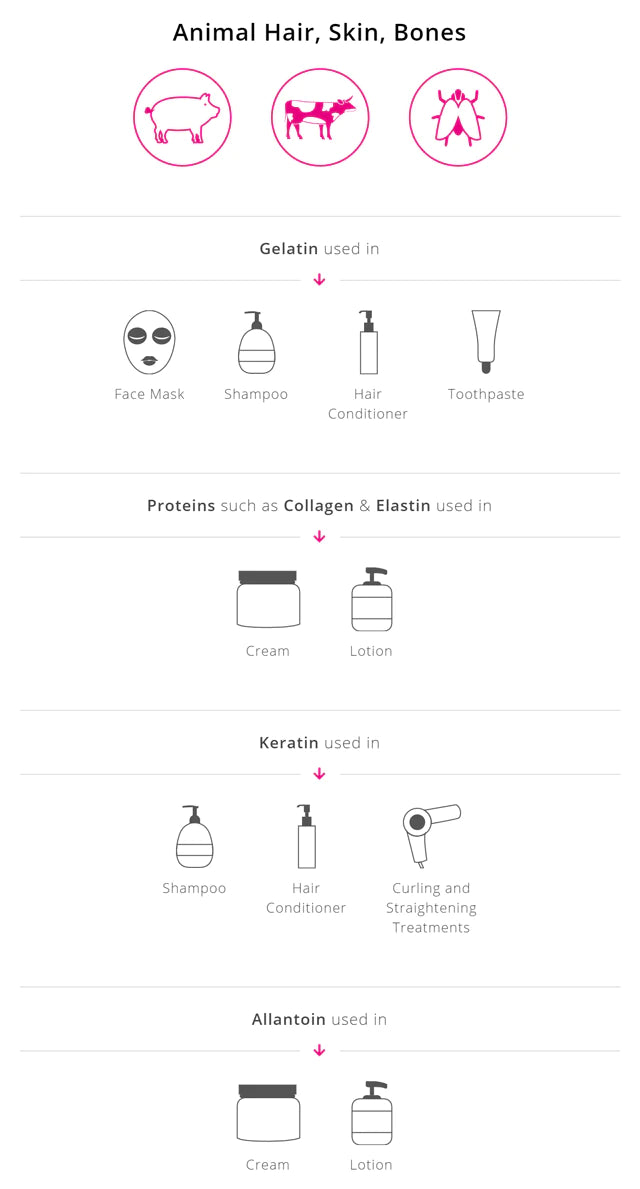 Animal Hair, Skin And Bones Chart