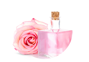 Rose Petal Used In Iba Products