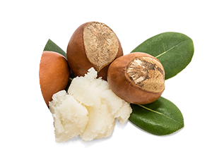 Shea Butter Used In Iba Products