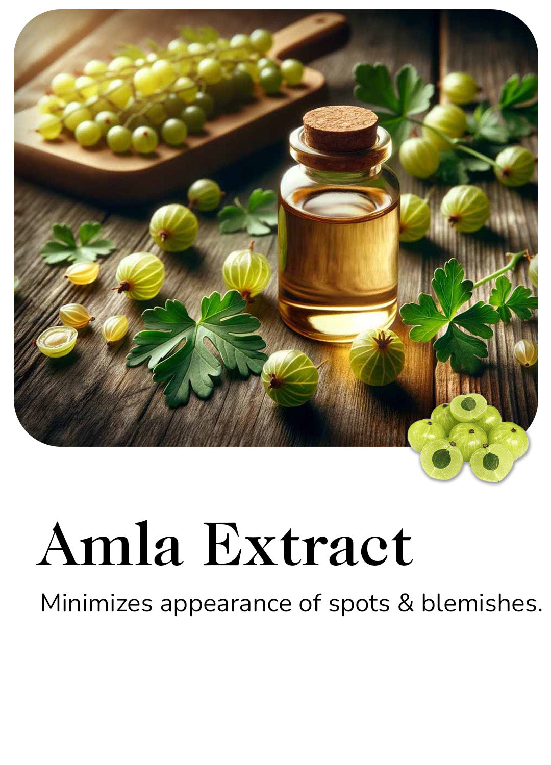 Amla Extracts