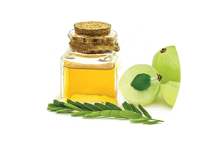 Amla Oil Used In Iba Products