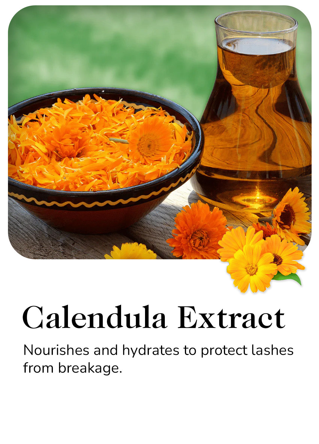 Calendula Extracts