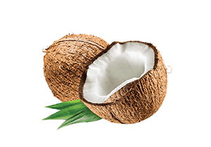 Coconut Oil Used In Iba Products