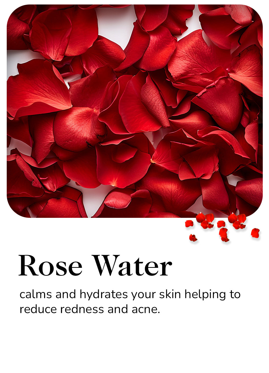 Rose Water