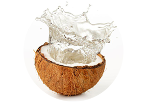 Coconut Water Used In Iba Products