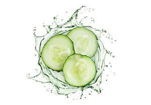 Cucumber Extract Used In Iba Products