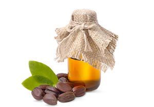 Jojoba Oil Used In Iba Products