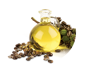 Castor Seed Oil Used In Iba Products