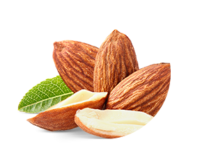 Sweet Almond Oil Used In Iba Products