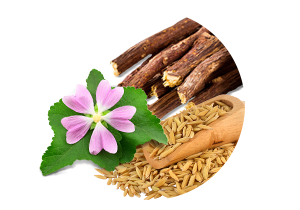 Marshmallow Flower, Rice Bran, Licorice Extracts Used In Iba Products