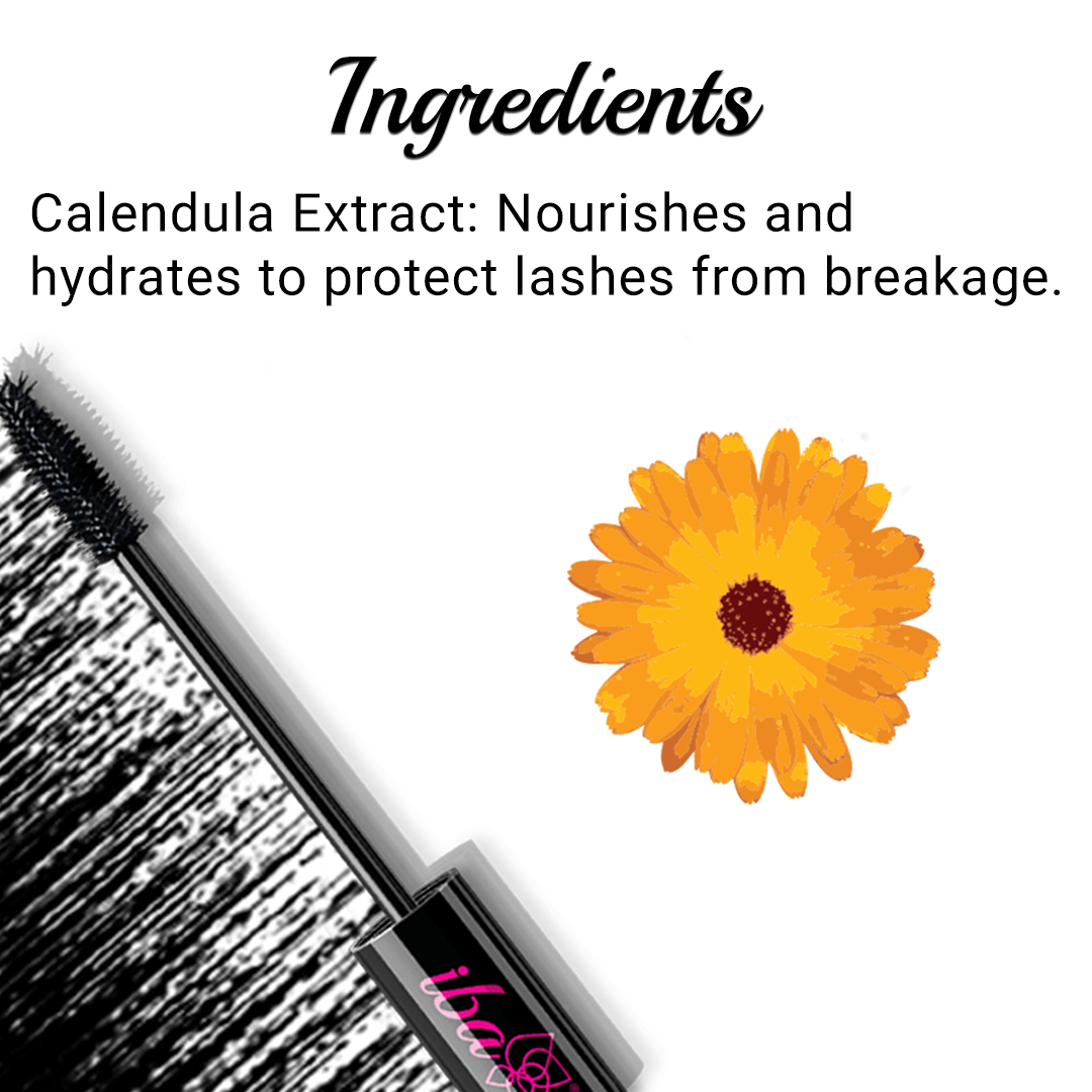 Iba Black N Bold 24 HR HD Mascara Ingredients