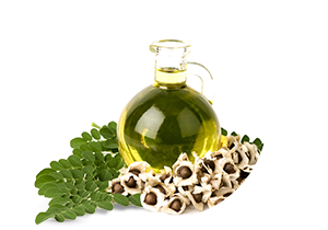 Moringa Oil Used In Iba Products