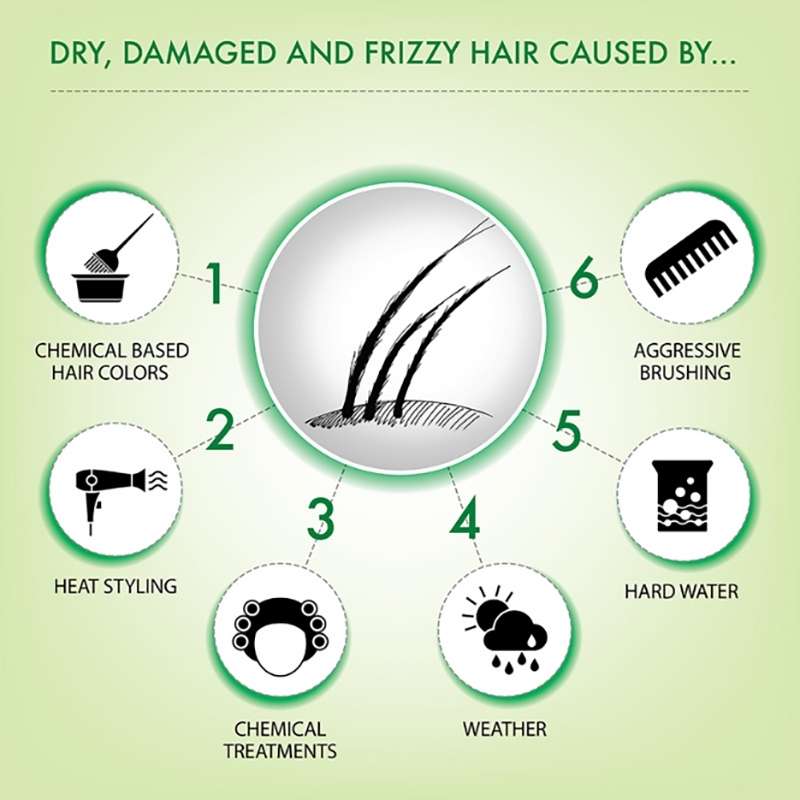 Causes Of Dry, Damaged And Frizzy Hair